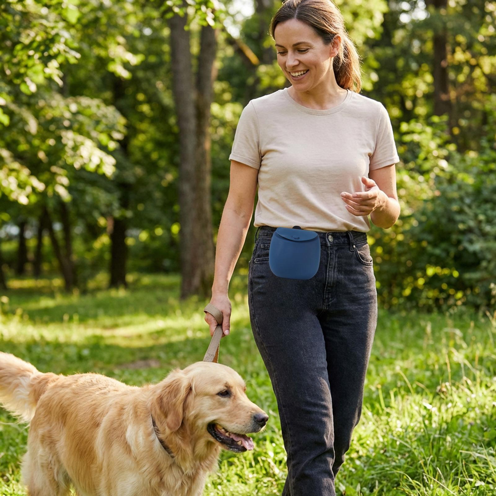 Food Snacks For Hiking - Treat Bag For Dog Training Silicone