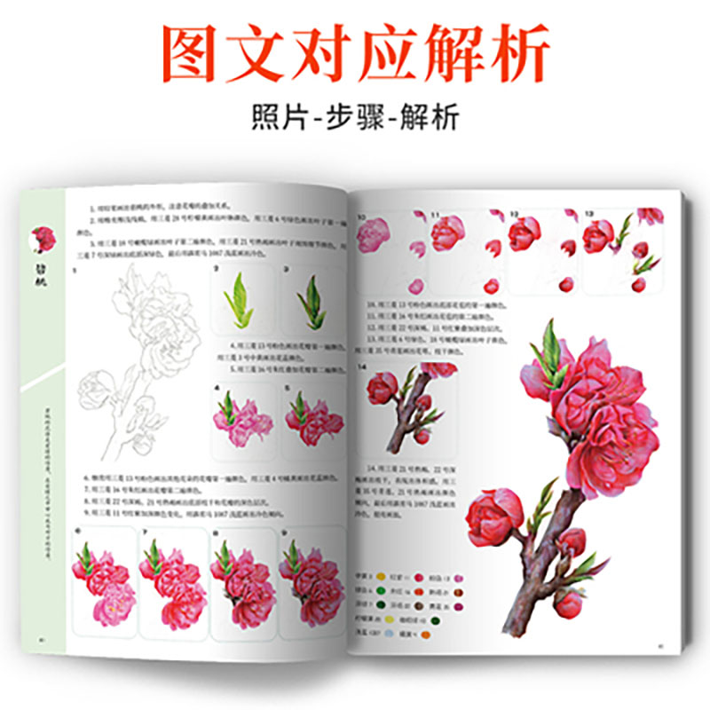 A course of practical color le - Food And Snacks Coloring Book Bold And Easy review and price
