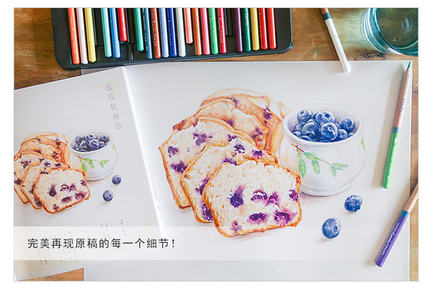 Color pencil drawing book 32 c - Food And Snacks Coloring Book Bold And Easy review and price